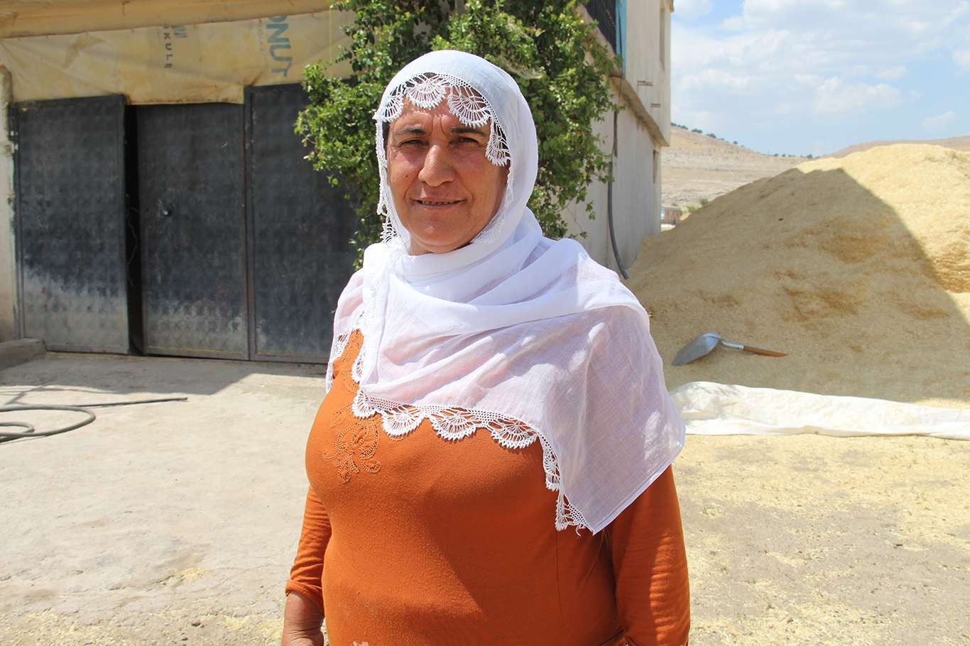 Medine Akağaç